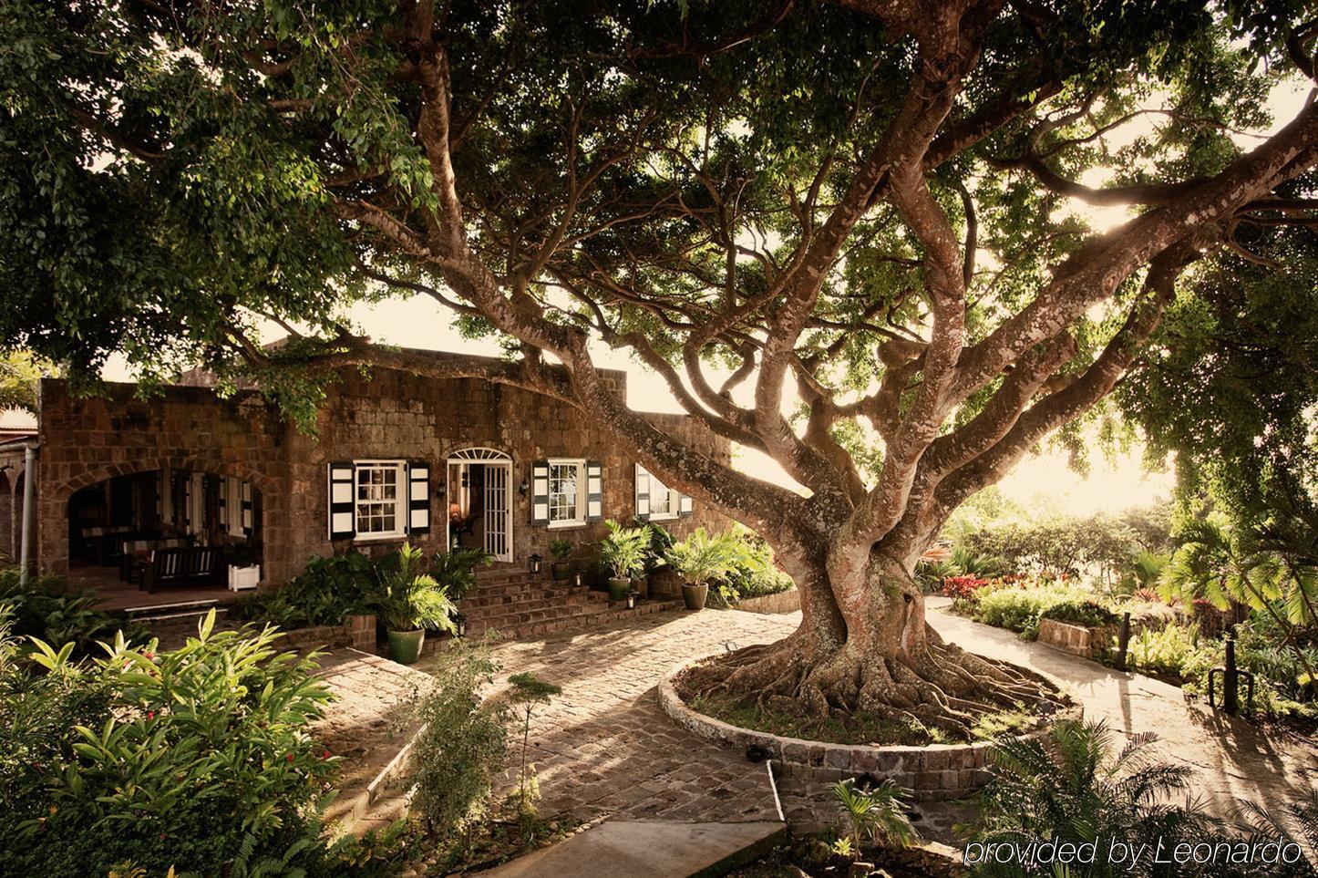Montpelier Plantation & Beach Charlestown Dış mekan fotoğraf