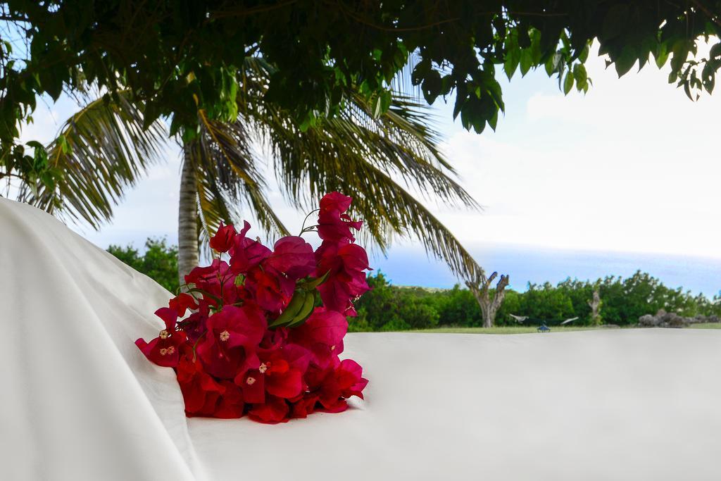 Montpelier Plantation & Beach Charlestown Dış mekan fotoğraf