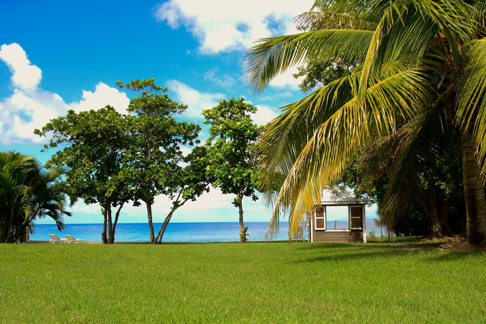 Montpelier Plantation & Beach Charlestown Dış mekan fotoğraf